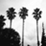 Profile Picture of Ji Eun Lim (@limm0910) on Flickr