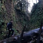 Profile Picture of Kyle Brickell (@kyle_e_coyote) on Instagram