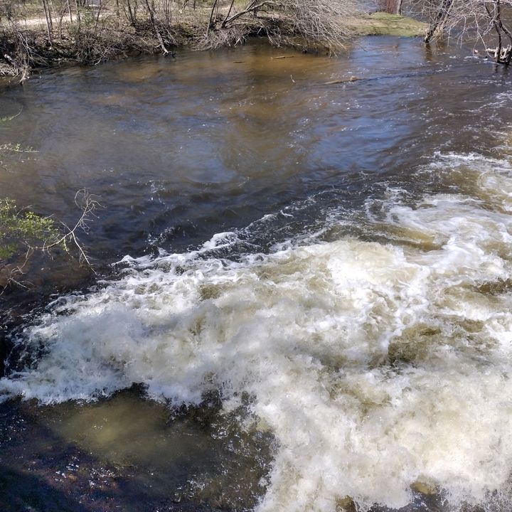 Profile Picture of DissociatedAlways (@matthewdeloren) on Tiktok