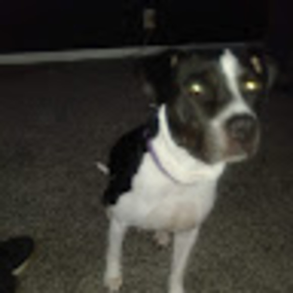 Profile Picture of Drew Joseph (@drewjoseph330) on Poshmark