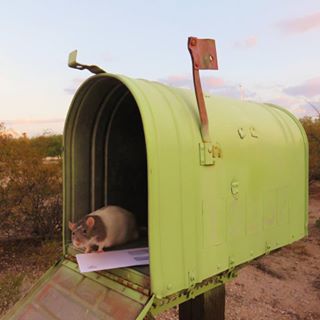 Profile Picture of Carolyn Gray (@carolyne.gray.3) on Facebook