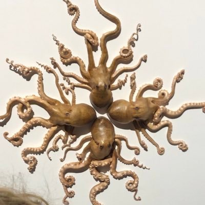 Profile Picture of Chris Eaton (@cgeaton) on Twitter