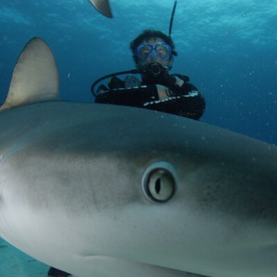 Profile Picture of Keith Hays At Hays (@HaysKeith) on Twitter