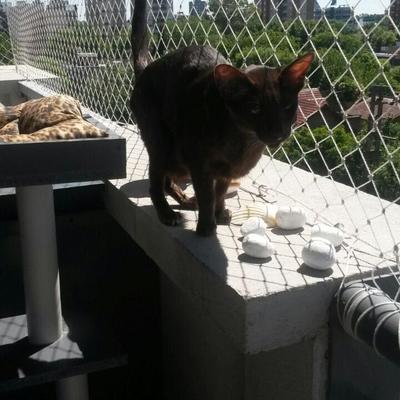 Julia Valenzuela - Twitter Profile Picture of Julia Valenzuela (@sarita2805) on Twitter