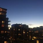 Profile Picture of Nomattic (@mattcantor) on Instagram
