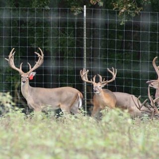 Profile Picture of Keith Fitzhenry (@Keith-Fitzhenry) on Facebook