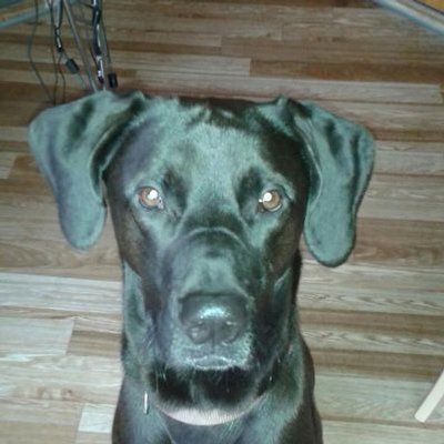 Profile Picture of Karl-Heinz Graf (@GrafHeinz) on Twitter