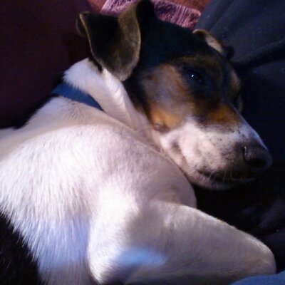 Profile Picture of Nancy A (@MissusJames) on Twitter