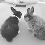 Profile Picture of Herbert & Sepp van Domazlice (@herbertundsepp) on Instagram