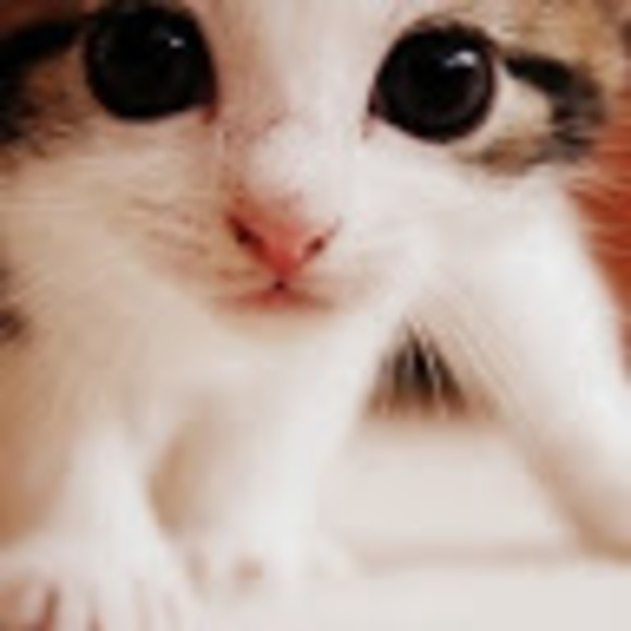 Profile Picture of Matthew Ostrander (@matthewostrande) on Poshmark