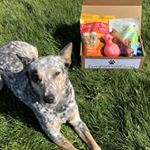 Profile Picture of Treatapooch.com (@reneemcgrathsranch) on Instagram