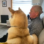 Tony McCluskey - Facebook Profile Picture of Tony McCluskey (@tony.mccluskey.790) on Facebook