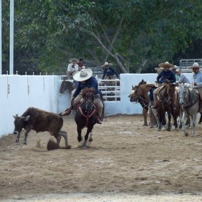 Profile Picture of Manuel Cervantes (@manucg96) on Twitter