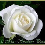 Profile Picture of norma (@milnorar) on Instagram