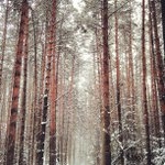 Profile Picture of Ruby Lowery (@jiggynystep) on Instagram