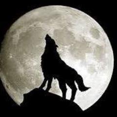 Profile Picture of George Giannopoulos (@kondor05551) on Twitter