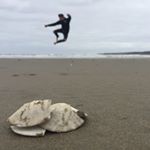 Profile Picture of Tyler Scarborough (@tyler.james20) on Instagram