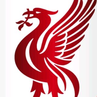 Profile Picture of LFC_the best_24 (@robinridgwell) on Tiktok