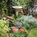Profile Picture of Joyce T. Frazier (@joyce7500) on Pinterest