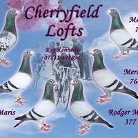 Profile Picture of Roy Kennedy (@roy-kennedy-5) on Quora