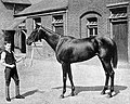 Profile Picture of Chelandryon Wikipedia
