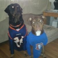 Profile Picture of Cody Ulland (@Thelizz187) on Twitter