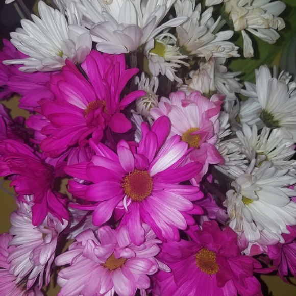 Profile Picture of Kera Sluka (@kerasluka) on Poshmark