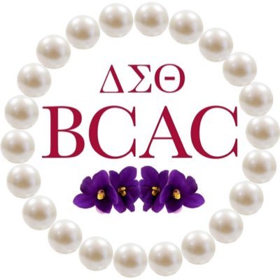 Profile Picture of Bergen County Deltas (@bcacDST1976) on Twitter