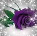 Profile Picture of Valerie Shackelford (@valerie.shackelford.9) on Facebook