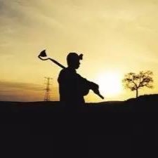 Profile Picture of Nathan Yang (@nathanyang1983) on Twitter