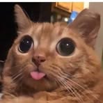 Profile Picture of Darryl Pacheco (@Darryl-Pacheco) on Facebook