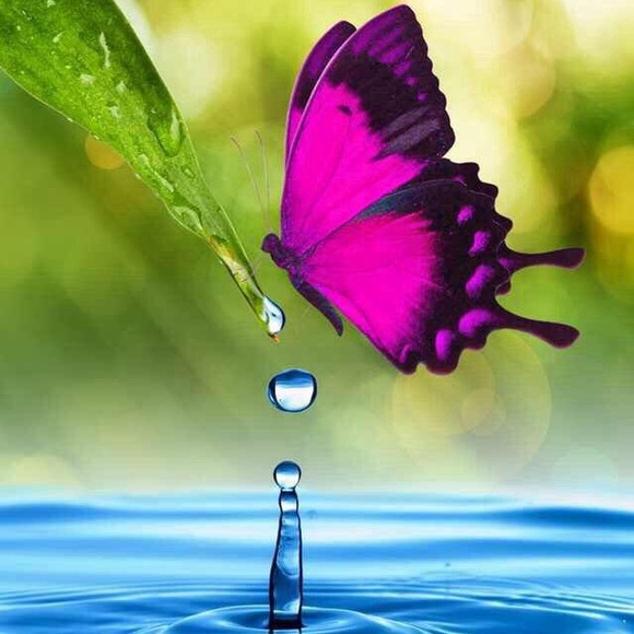 Profile Picture of Mary Lorigan (@hannamae01) on Poshmark