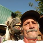 Profile Picture of Kevin Collins (@klc2240) on Instagram