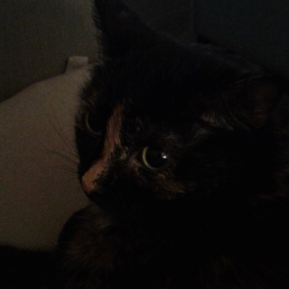 Danielle Penney - Poshmark Profile Picture of Danielle Penney (@1danielle1999) on Poshmark