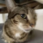 Profile Picture of Jan Baczyński (@Jan-Baczyński) on Facebook