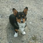 Profile Picture of Matthew Steinbach (@matthew.steinbach.2025) on Facebook