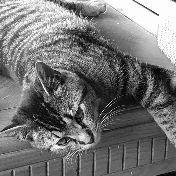 Profile Picture of Pat Weeks (@patweeks) on Poshmark