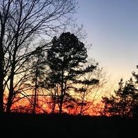 Profile Picture of Marsha Cannon (@marsha-cannon-6) on Quora