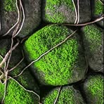 Profile Picture of James Speard (@james.speard.1) on Facebook