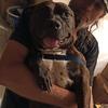 Profile Picture of Bradford Adams (@@bradford1040) on Tiktok