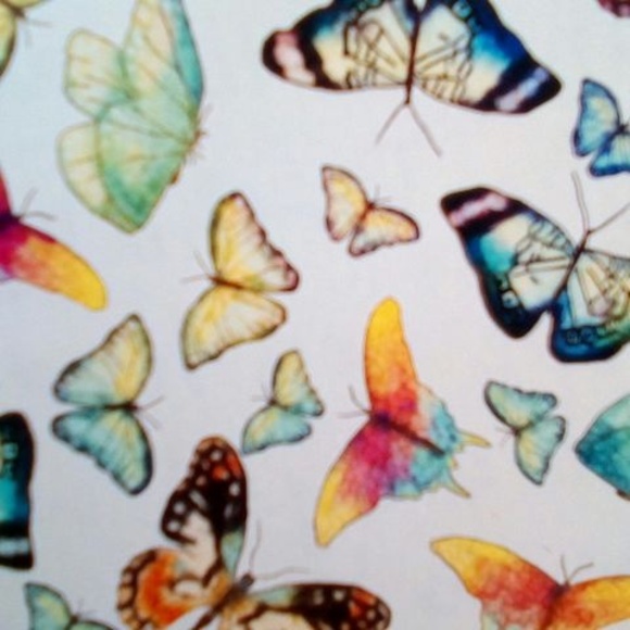 Profile Picture of Pamela Morrison (@pm2653625) on Poshmark