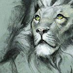 Profile Picture of Trent Callow (@follow_peppers) on Instagram