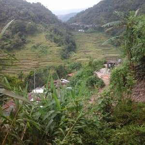 Profile Picture of Myrna De Guzman (@MyrnadeGuzman4) on Twitter