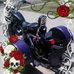 Profile Picture of Terrie Blevins (@terrie.blevins.10) on Facebook
