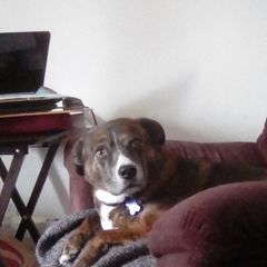 Profile Picture of Celia Bates (@celia.bates) on Tiktok