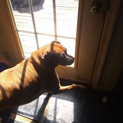 Profile Picture of Stacie O'Neil (@StacieONeil8) on Twitter