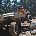 Profile Picture of Arnold Müller (@yung_adventurer) on Instagram