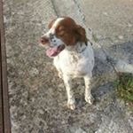 Profile Picture of Onofrio Pappalepore (@pappaleporeonofriogianluca) on Instagram