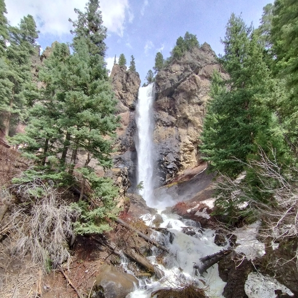 Profile Picture of G Overholts (@banana8885) on Poshmark