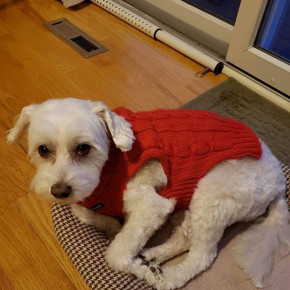 Profile Picture of Bill Artini (@billartini) on Poshmark